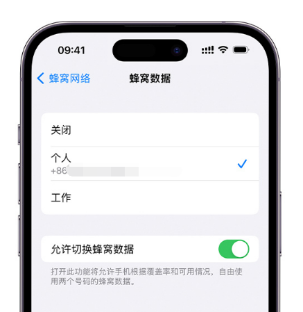 咸宁苹果维修服务分享如何在iPhone上使用双卡 